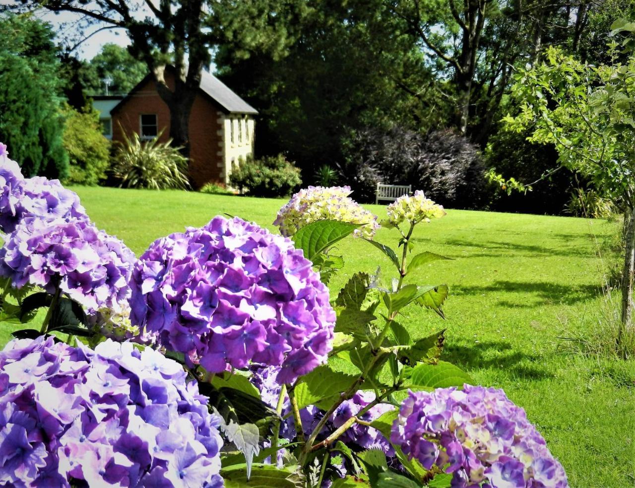 Ffynnon Fendigaid Bed And Breakfast 에버포스 외부 사진